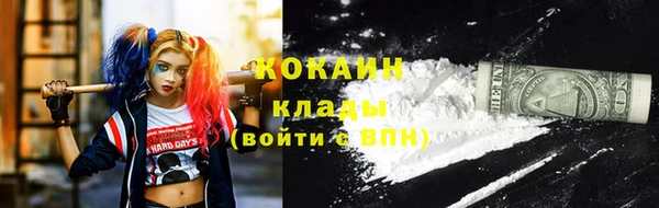твердый Сатка