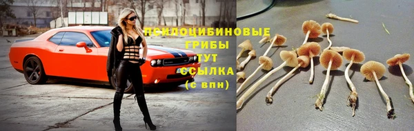 спайс Сафоново